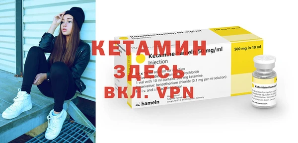 сатива Коряжма