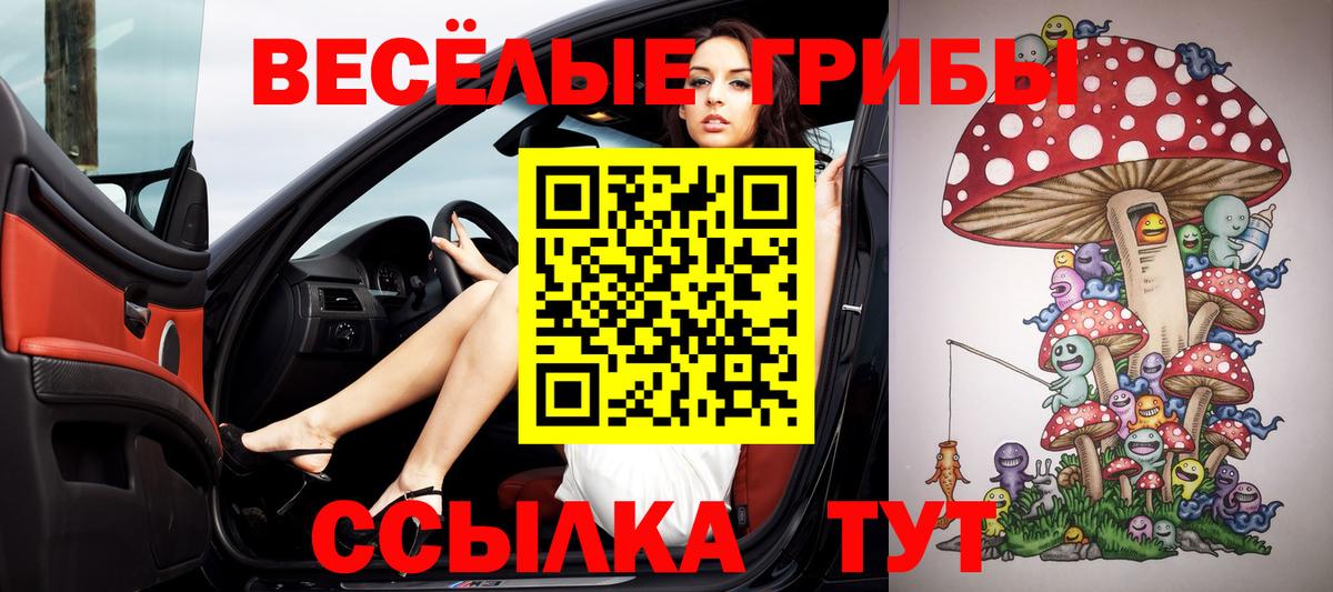 Красноуфимск  Галлюциногенные грибы Psilocybine cubensis  Вход с VPN 