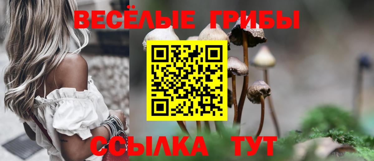 Псилоцибиновые грибы Psilocybine cubensis  Псилоцибиновые грибы прущие грибы  Красноуфимск 