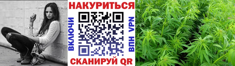Бошки Шишки конопля  Красноуфимск 